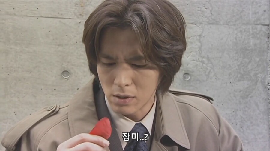 [가면라이더쿠우가]매력적인 장미누님_16.jpg