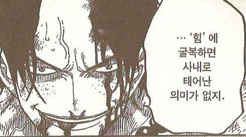 유희왕 마듀 익신룡 덱도 짤 수 있어