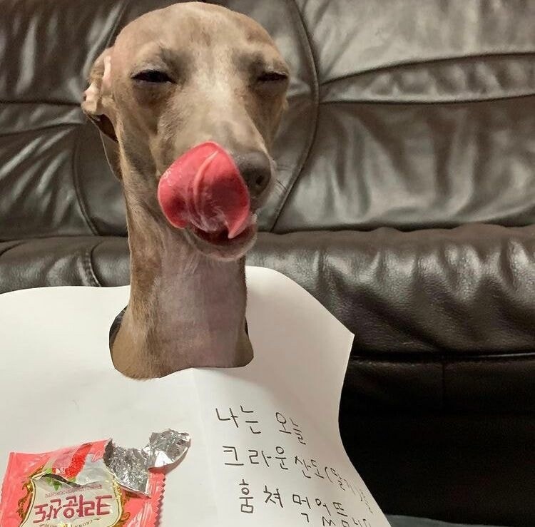 과자 훔쳐먹은 도둑놈 공개효시_2.jpg