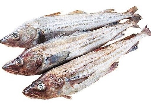 소전 E스포츠)다시 강해져서 돌아온 한화 선수_5.jpg