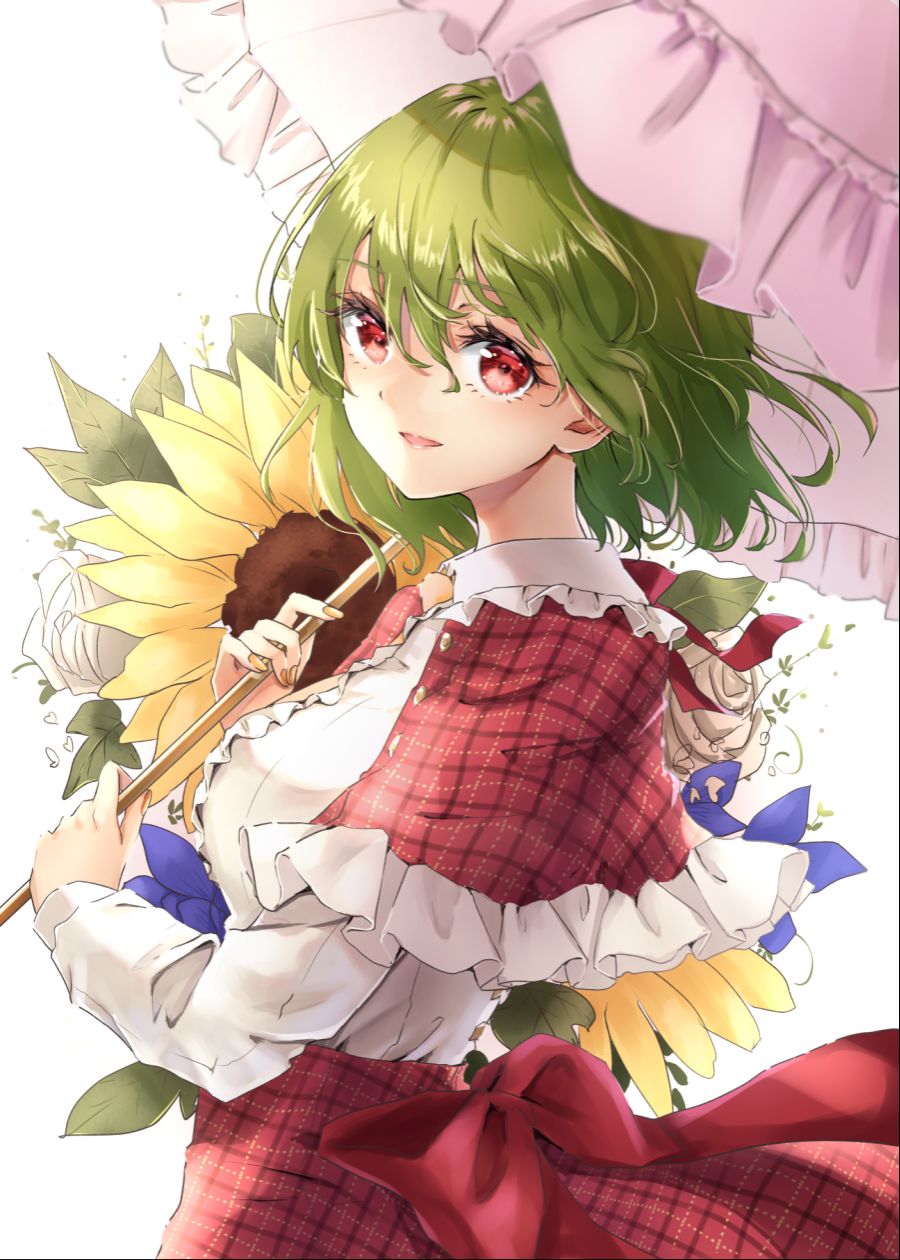 Kazami.Yuuka.full.3553326.png