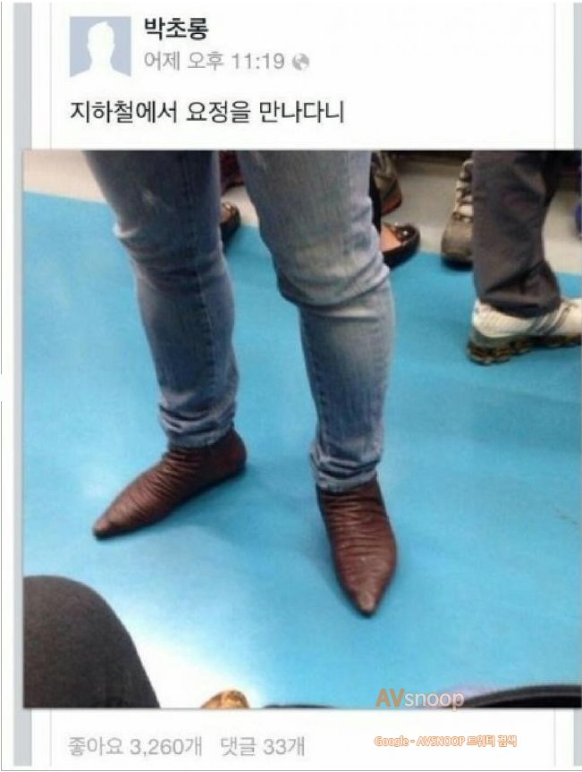 avsnoop 지하철 음란물 천국 'AVSNOOP' 운영자 8억원에 사이트 처분하려다 덜미 ...