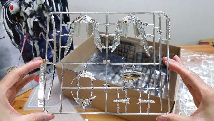 [프리뷰] 보크스 IMS 1/100 오제 알스큘 한정판_14.jpg