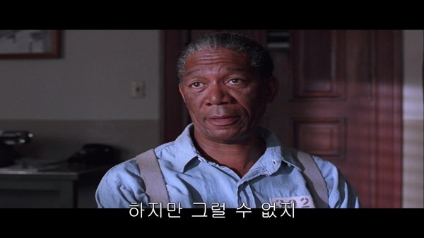 쇼생크 탈출 명장면.jpg_12.jpg