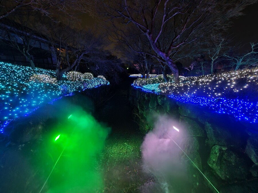 니코의 여행기(22년 2월) 스왑주의_18.jpg