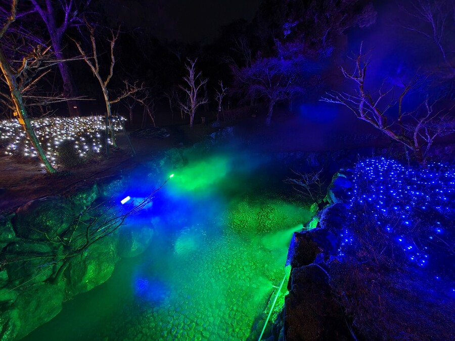 니코의 여행기(22년 2월) 스왑주의_19.jpg