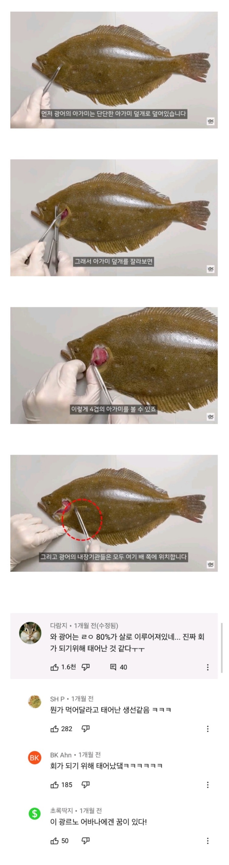 광어) 광어가 개쩌는 횟감인 이유.jpg_1.jpg