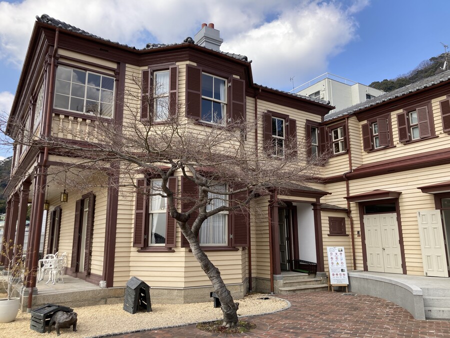 니코의 여행(22년 2월말) 스왑주의_2.jpg