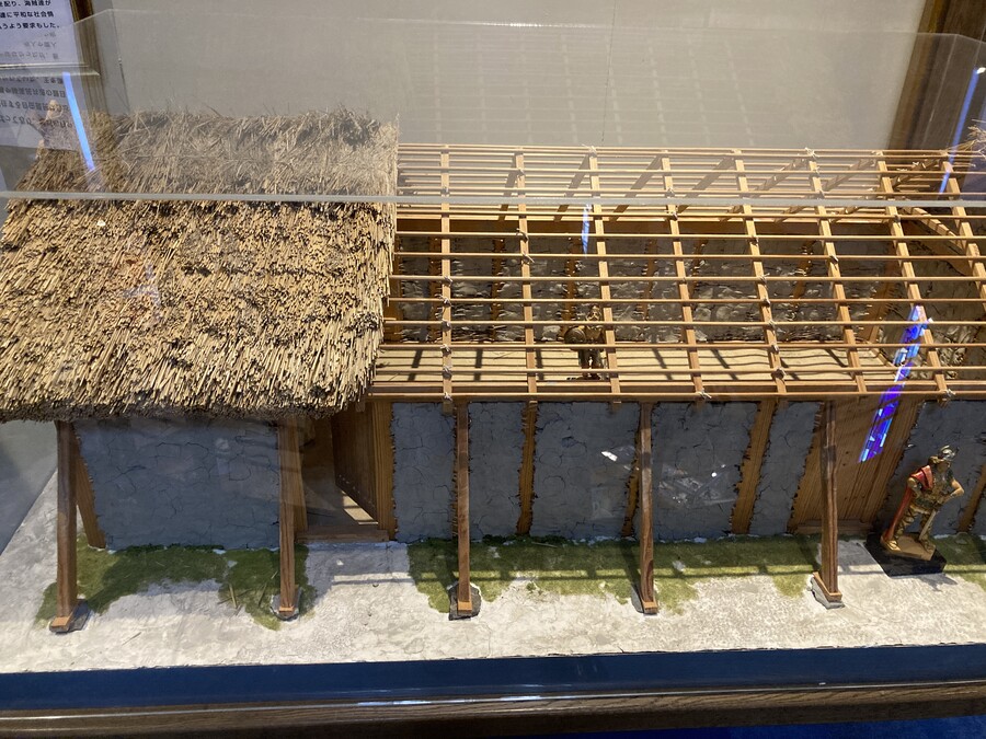 니코의 여행(22년 2월말) 스왑주의_22.jpg