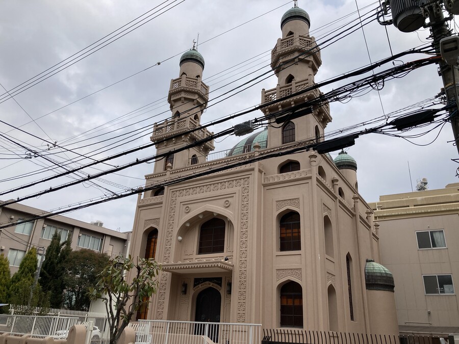 니코의 여행(22년 2월말) 스왑주의_31.jpg