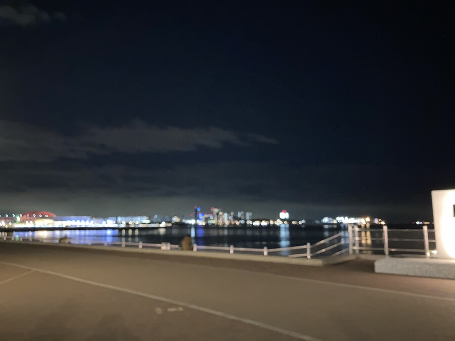 니코의 여행(22년 2월말) 스왑주의_39.jpg