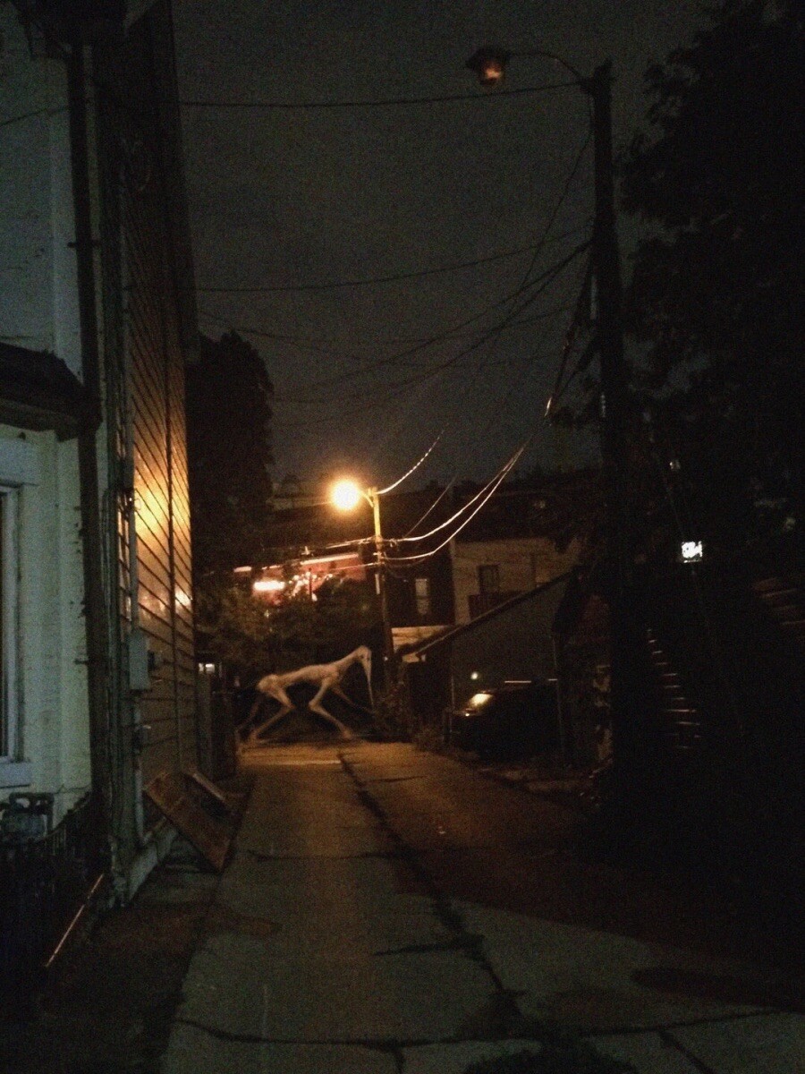 [극혐] 보면 기분 나빠지는 짤 모음_44.jpeg