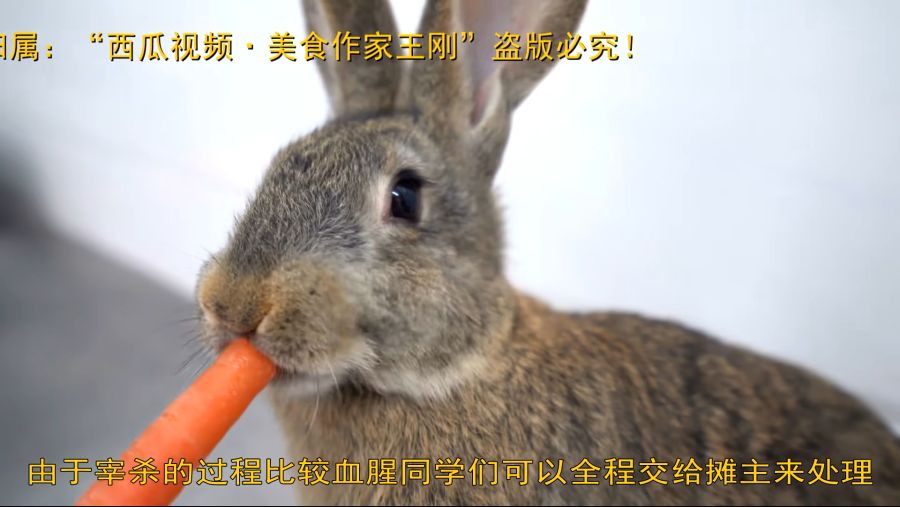 厨师长教你：自贡“冷吃兔”的正宗做法，特别的鲜辣味道绝对令人回味无穷.mp4_20220313_114842.822.png