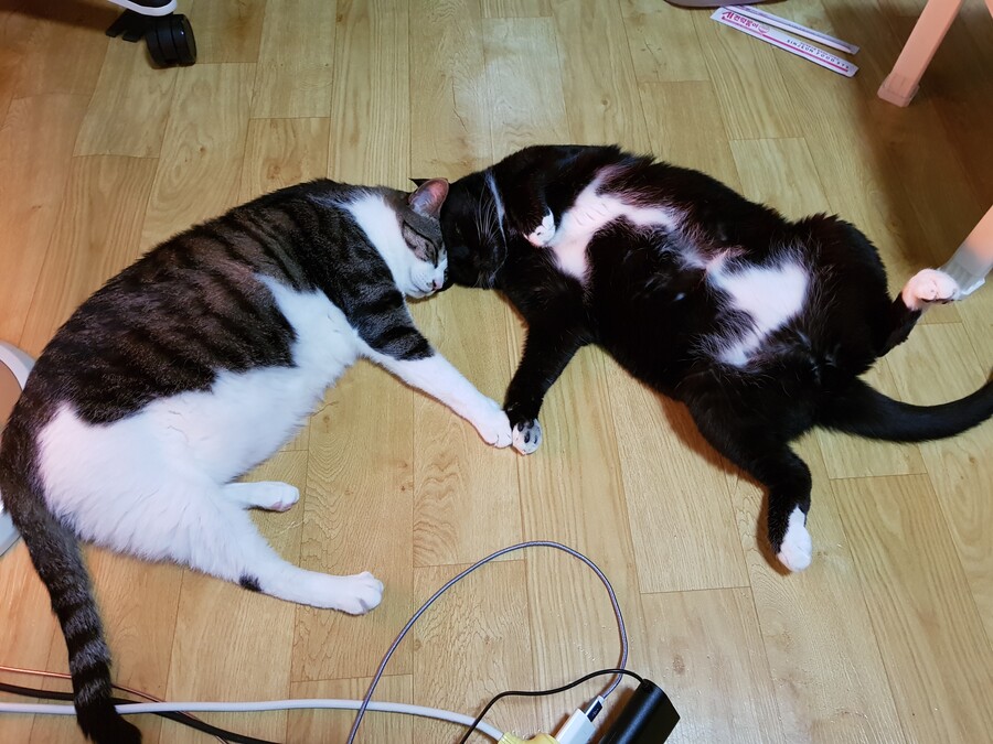 [인디팀] '쿠키냥' 간단히 즐기는 3매치 퍼즐 게임_15.jpg