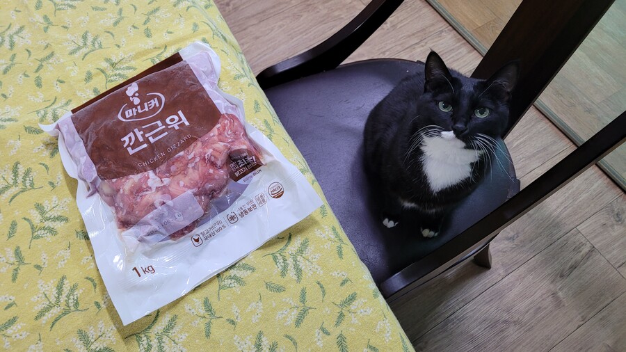 야옹이랑 먹는 닭똥집볶음_1.jpg