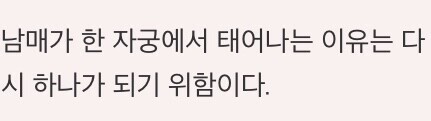 남매 근친이 필연적인 이유_2.jpg