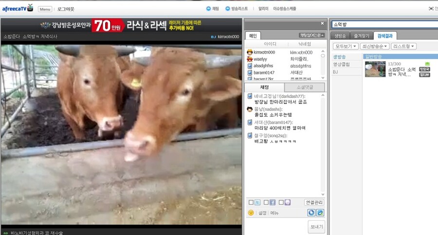 아프리카tv 리얼 소 먹방 | 유머 게시판 아프리카tv 리얼 소 먹방 | 유머 게시판 | 루리웹