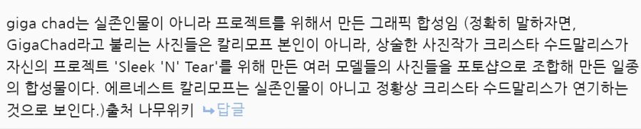 서양에서 밈이 되어버린 상남자.jpg_9.jpg