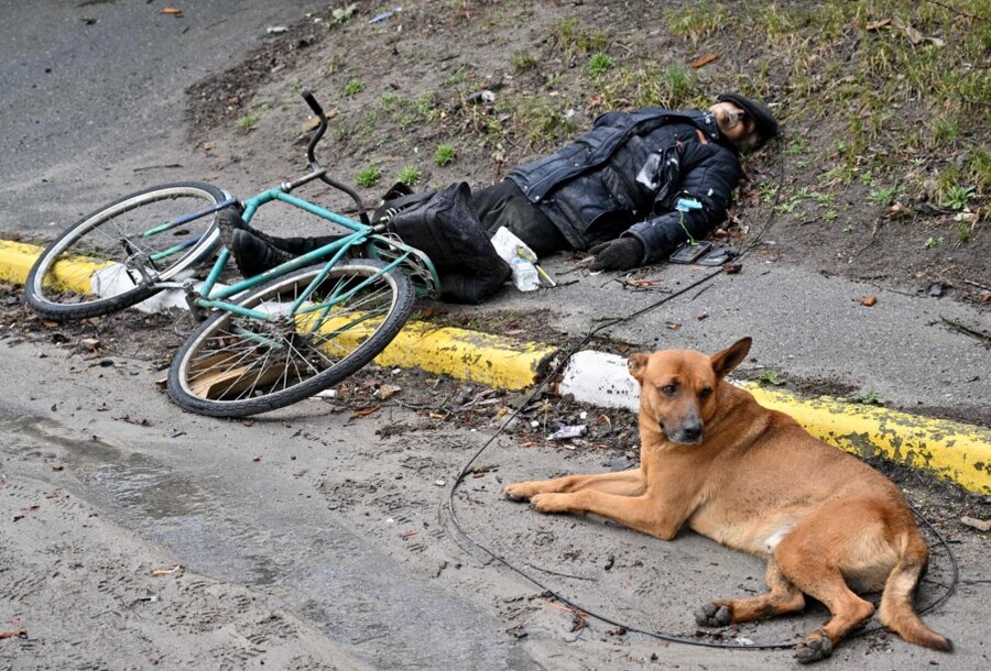 혐오)역사는 러시아를 범죄자로 기억할 것이다_2.jpeg