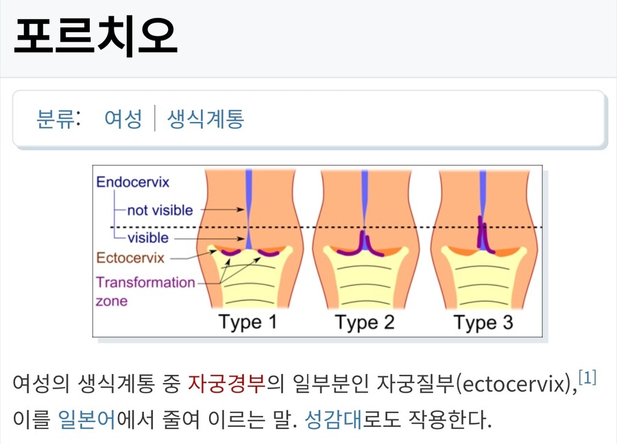 포르치오에 민감한.manhwa_5.jpg