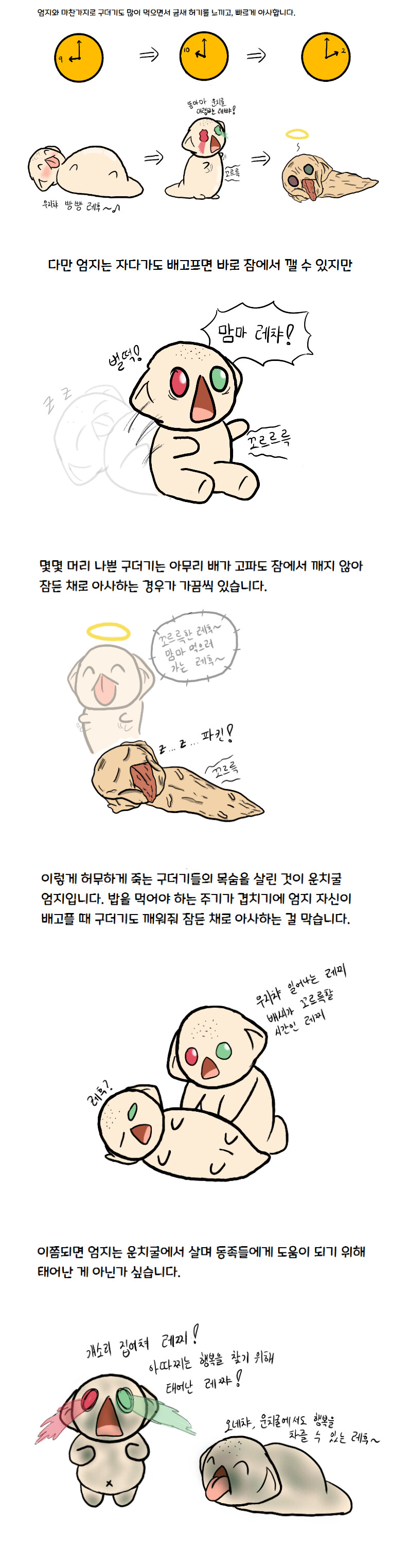 참피)과학적으로 분석한 참피 만화_8.png