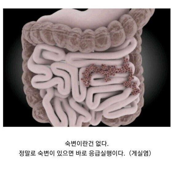 일본발 유사과학 총집합.jpg_4.jpg