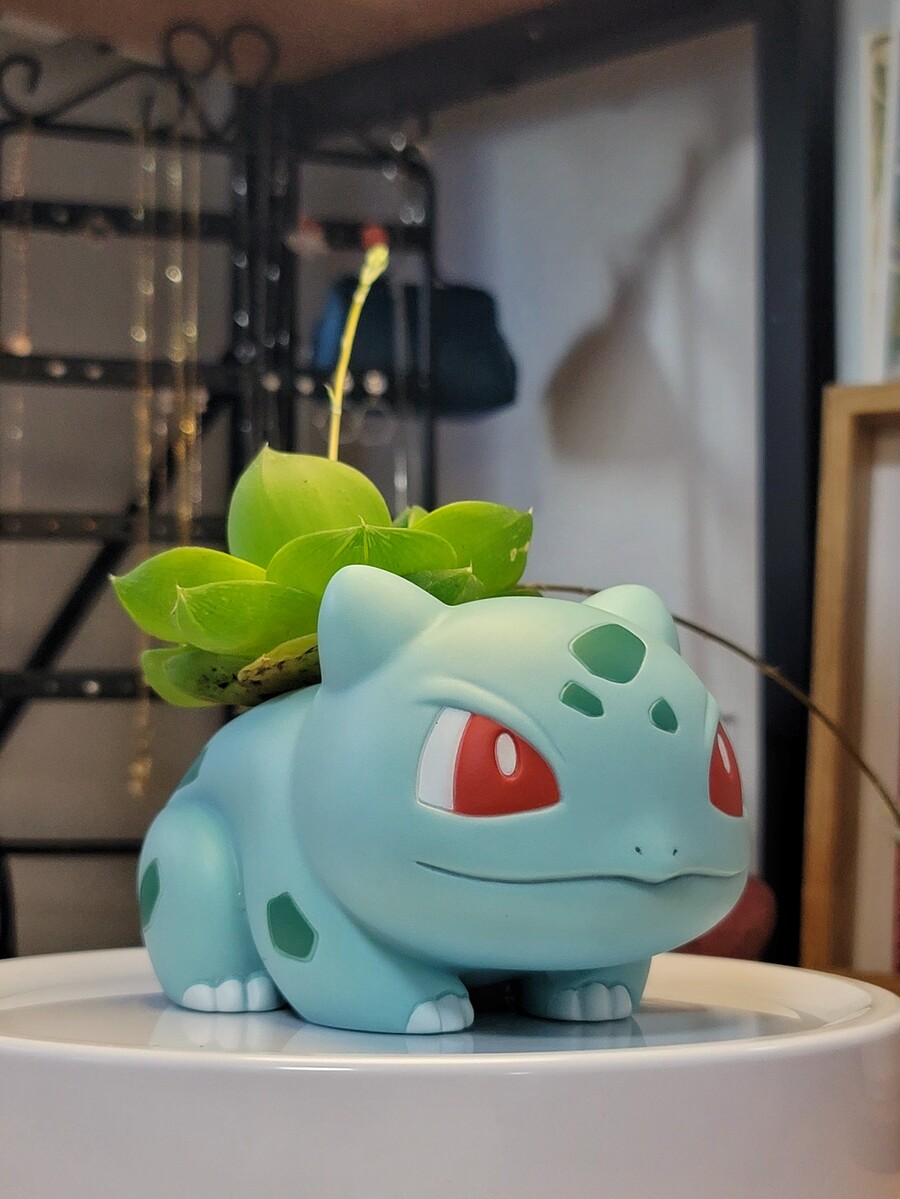 이상해씨 다육식물 화분 만들기_1.jpg