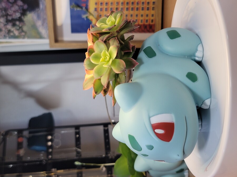 이상해씨 다육식물 화분 만들기_8.jpg