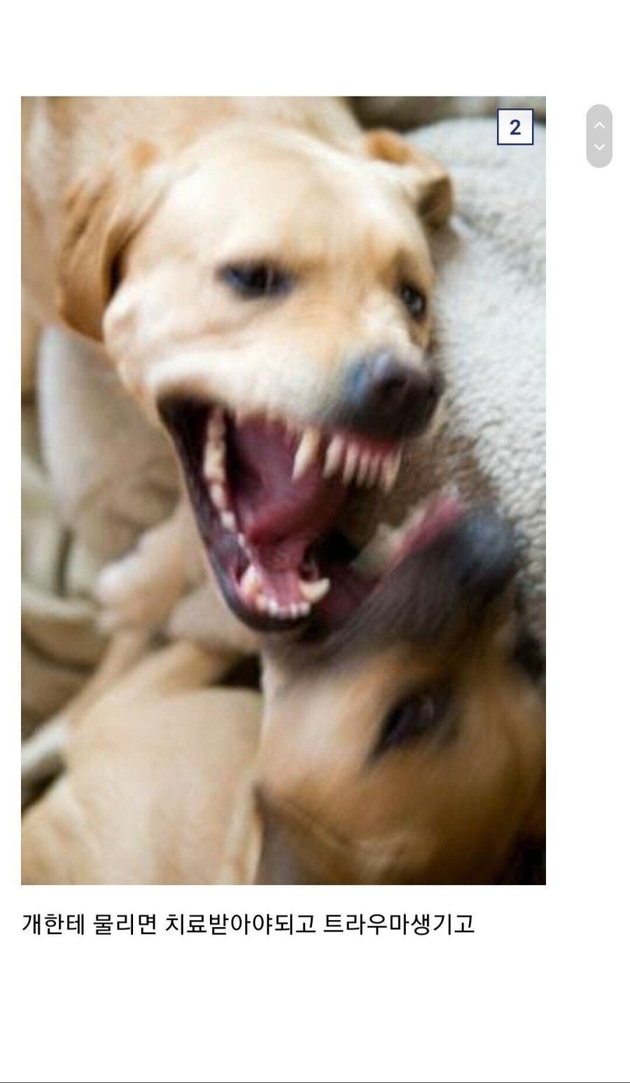 루나코인 폭락 코인갤러리 현자등판jpg