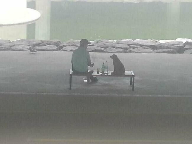 대한민국 레전드 사진_1.jpg