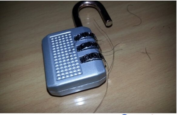털주의)푸른고추에 대적할만한 사건.ruliweb_2.png