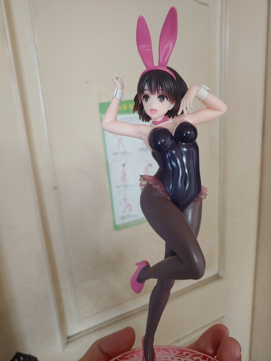 카토 피규어 (타이토 바니)_1.jpg