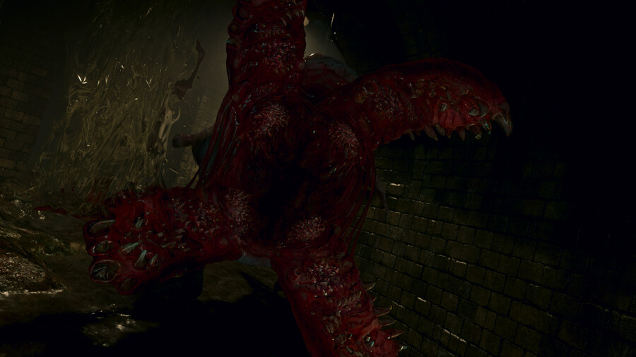 질 다크스토커 레드.jpg_9.png