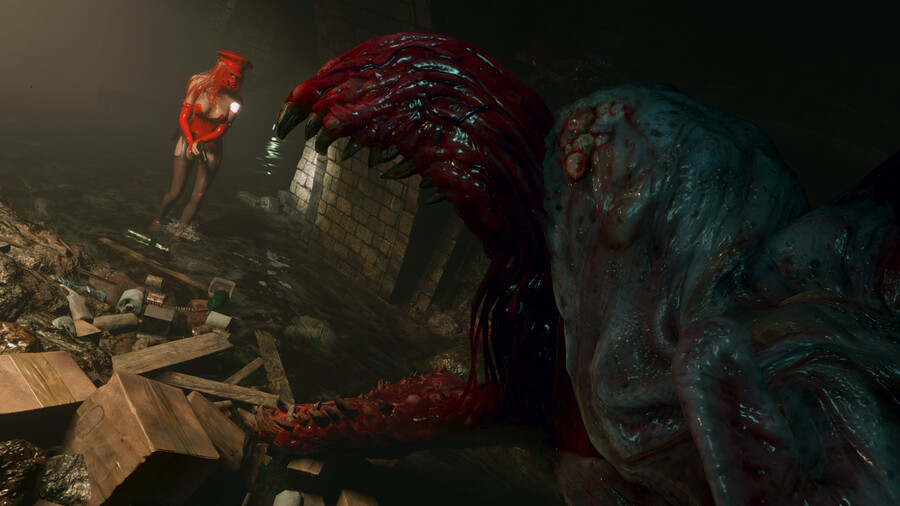 질 다크스토커 레드.jpg_15.png