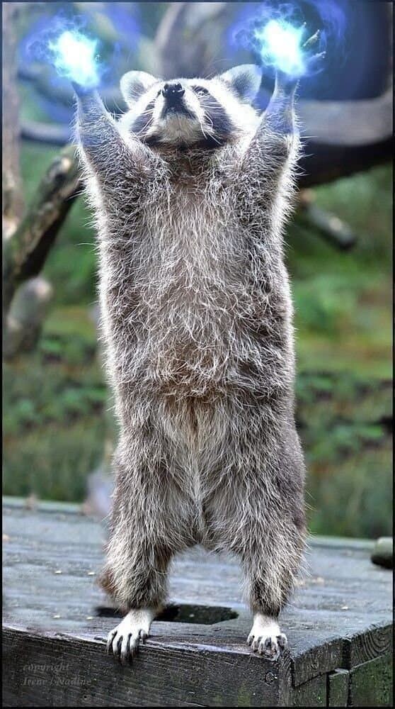 블루아카) "꼴려져라 얍!"_6.jpg