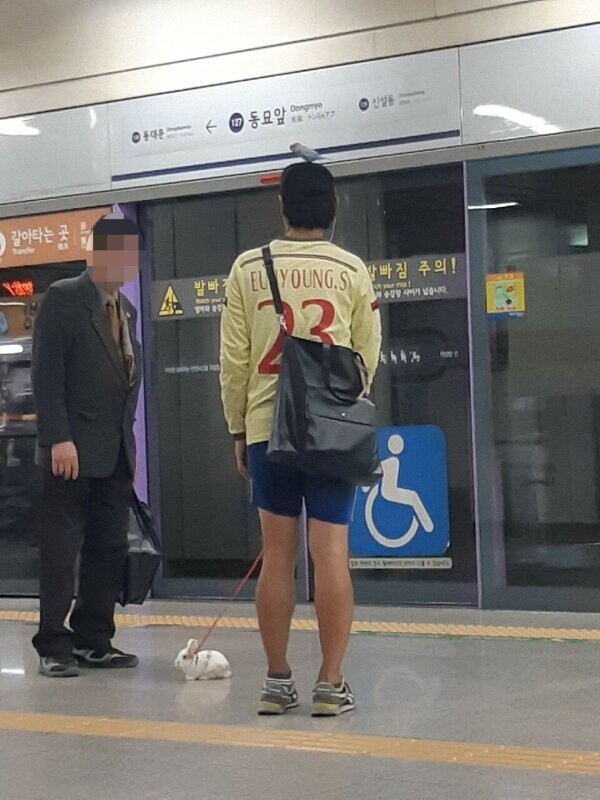 강한자만 살아남는 서울 1호선_9.jpg
