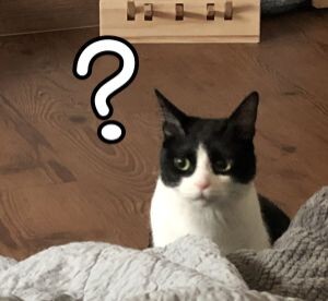 한글 자모 모양이 알파벳처럼 바뀔 뻔한 이유.jpg_6.jpg
