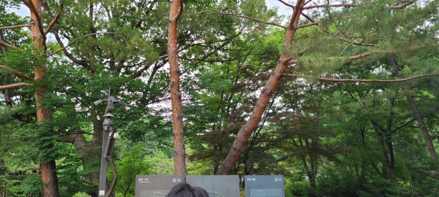 (스압주의)부산촌놈의 서울 2박3일 여행_33.jpg