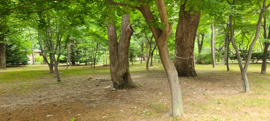 (스압주의)부산촌놈의 서울 2박3일 여행_35.jpg