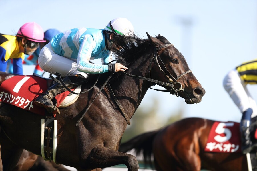 말딸) 신캐들 장식들 역시나 원본마 고증 ㄷㄷ_1.jpg