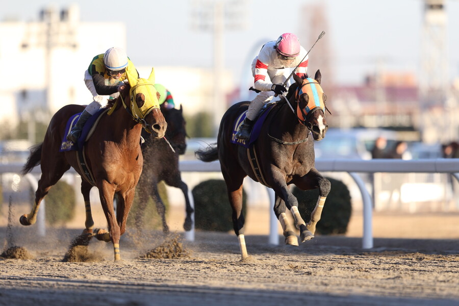 말딸) 신캐들 장식들 역시나 원본마 고증 ㄷㄷ_2.jpg
