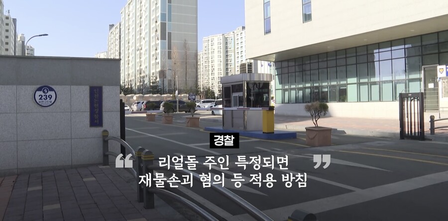 아파트에서 리얼돌 떨어뜨린 사람 누구냐?_12.jpeg