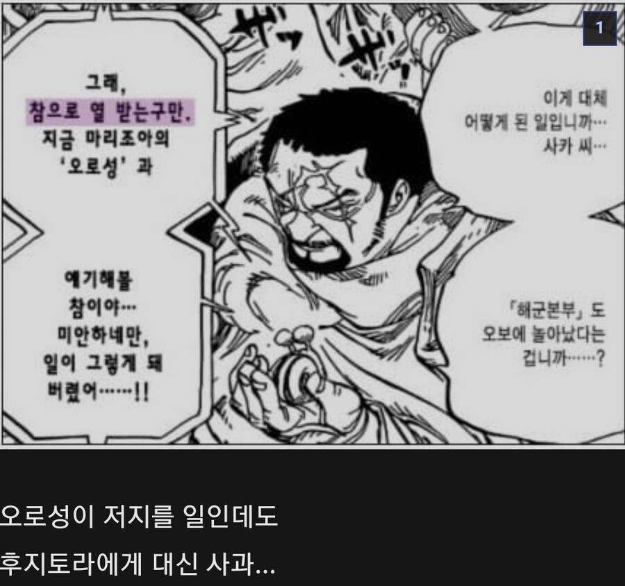 원피스스포 )아카이누 홧병 모음집 ㄹㅇ ㅠㅠ....JPG_1.jpg