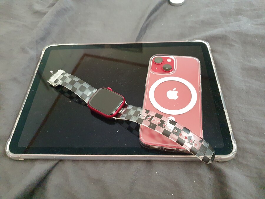 사과는 결국 이렇게 되는거군요_1.jpg