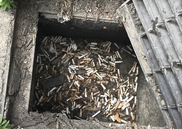 혈압주의) 평소 배수구 상황_2.jpg