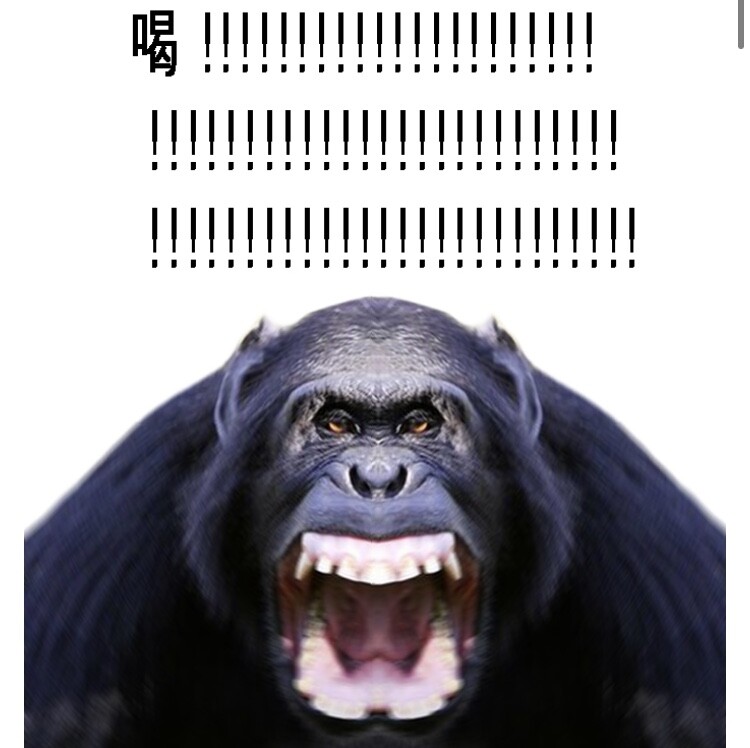 길티기어) 브리짓 요약_4.jpg