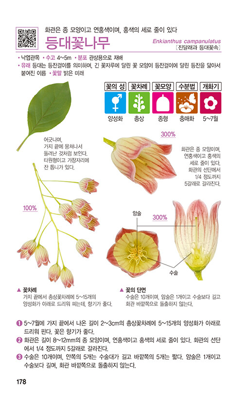 스튜디오두릅 이미지