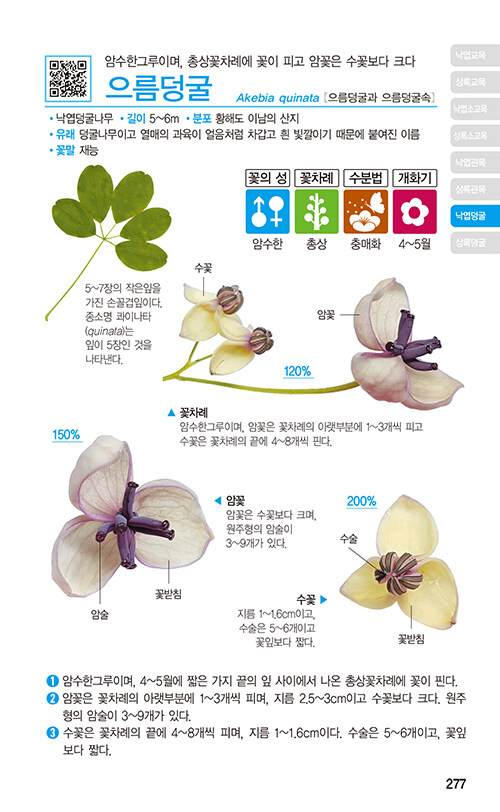 스튜디오두릅 이미지