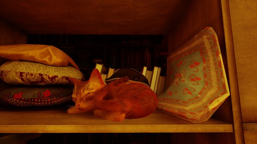 Stray)대단히 생산적인 날이었군요._2.jpg