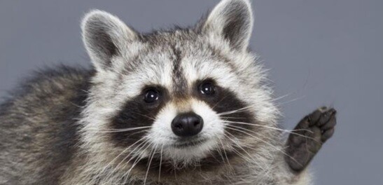 메밀국수집 알바 눈나랑 그렇고 그런 망가_7.jpg